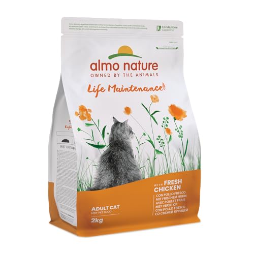 almo nature Holistic Adult Cat Maintenance mit Frischem Huhn und Reis Trockenfutter für Katzen Aller Rassen 2Kg