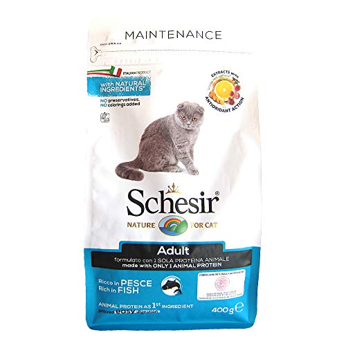 Schesir Cat Adult Maintenance Fisch Katzenfutter trocken für Erwachsene Katzen Trockenfutter im Beutel 1er Pack 1 x 400 g