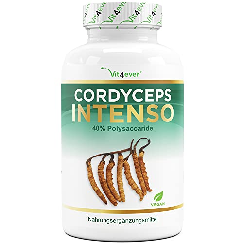 Cordyceps Pilz - 180 Kapseln mit 650 mg echtem CS-4 Extrakt - 40% bioaktive Polysaccharide - Laborgeprüft - Hochdosiert - Raupenpilz - Vegan