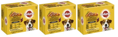 PEDIGREE Multipack - Verschiedene Geschmacksrichtungen 3x12x100g Adult Geflügel-Selektion 4 Varietäten in Sauce mit Huhn Truthahn Geflügel Ente