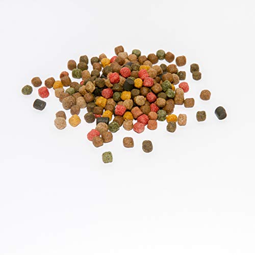 Warnicks Tierfutterservice KOI - KOIFUTTER 10-Sorten-Mix 5 kg mit Spirulina Paprika 6mm