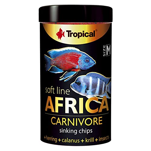 Tropical Soft Line Africa Carnivore 1er Pack 1 x 52 g