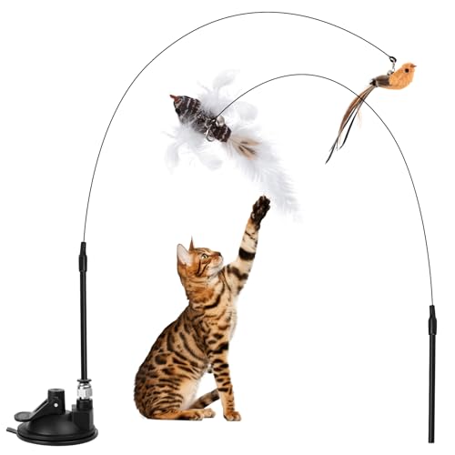 2 Set Katzenspielzeug Selbstbeschäftigung Interaktives Katzenspielzeug Intelligenz Katzen Spielzeug mit Vogel Federn Katzenspielzeug Angel Katzenangel Stabil mit Saugnapf Cat Toys Federspielzeug