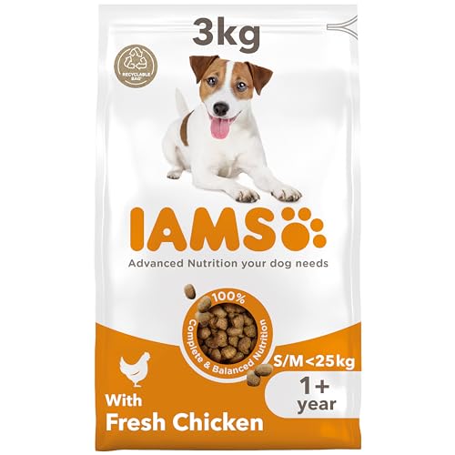 IAMS Hundefutter trocken mit Huhn - Trockenfutter für erwachsene Hunde ab 1 Jahr geeignet für kleine mittelgroße Hunde 3 kg