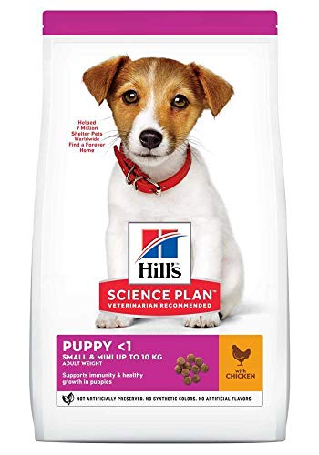 Hill s Hundefutter Small and Miniature Puppy 3 kg 1er Pack 1 x 3 kg