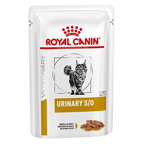 Royal Canin Urinary S O Katze Morsels in Gravy Fleischstücke   12x g