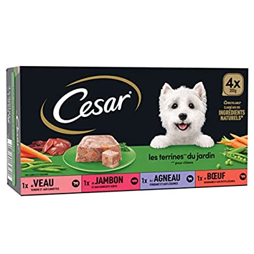 CESAR Barquettes en terrine - 4 vari t s - Pour chien adulte - 4 x 300 g