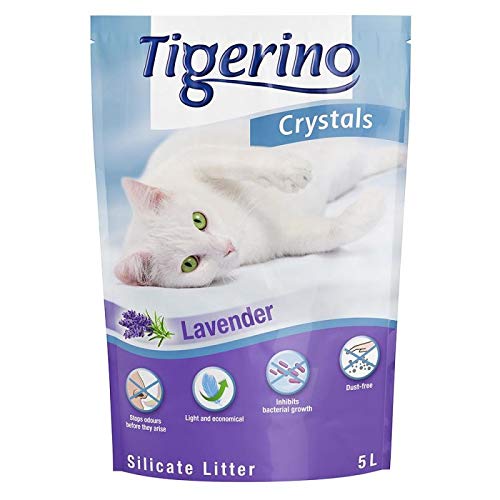 Tigerino Hellodeal Katzenstreu mit frischem Duft 5 l Lavendel
