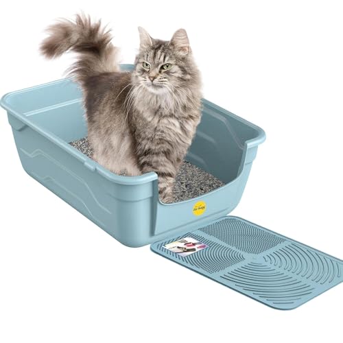 Cat Centre Katzenklo Offen Mit Hohem Rand Katzentoilette Ohne Deckel Mit Blauer Katzenstreu Matte Blau L 50 x 38 5 cm