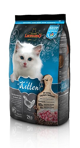  Kitten Kitten 2kg für Kätzchen bis 1 frischem Geflügel