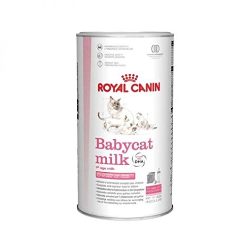 Haustier Katze Snacks Futter Katzenfutter Cat Food Royal Canin Babycat Milk 300g-1PACK