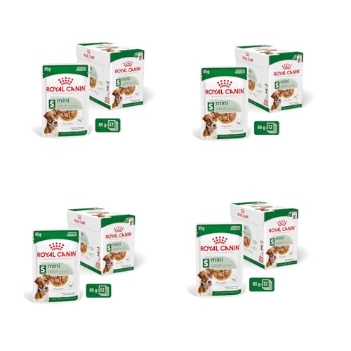 Royal Canin Mini Adult in Soße 4er Pack 4 x 12 x 85 g Nassfutter für kleine ausgewachsene Hunde 1 bis 10 kg Von 10 Monaten bis 12 Jahre Angepasster Energiegehalt