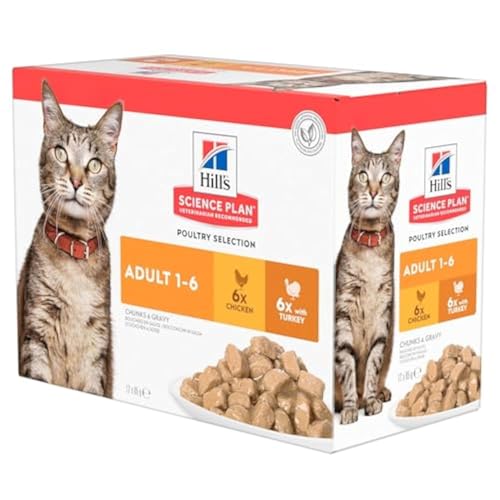 Hill s Katze Erwachsene Multipack Poultry Selection 1er Pack 1 x 1.2 kg