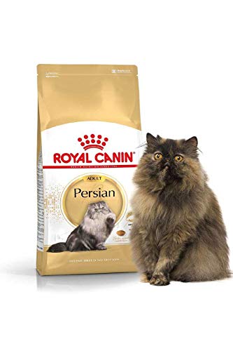 ROYAL CANIN Persische trocken 2 kg Kata- - Katzen Trockenfutter Kroketten