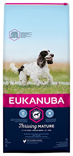 Eukanuba Hundefutter