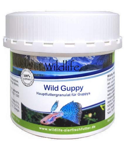 WILDLIFE Wild Guppy Hauptfutter speziell für Guppys 130 g