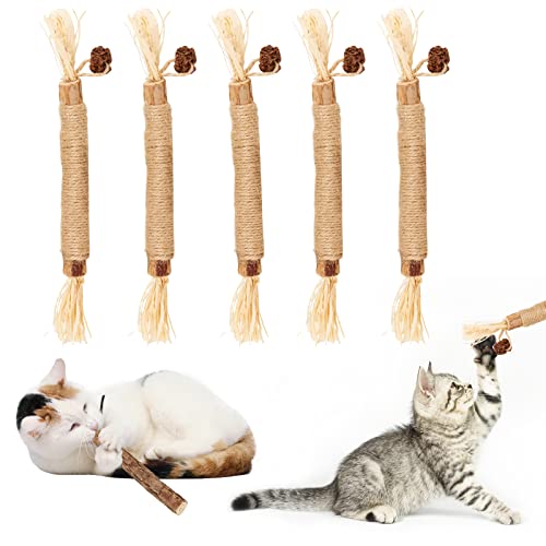 Katzenminze Sticks 5 Stück Matatabi-Kausticks als Katzenspielzeug Matatabi Katzen Kauhölzer Silvervine Sticks für natürliche Katzen Zahnpflege Katzensticks