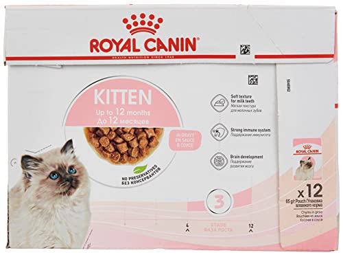 Royal Canin Kitten 12 x 85 g Nassfutter für Kitten Feine Stückchen in Soße Speziell für Katzenwelpen in der zweiten Wachstumsphase bis zum 12. Monat