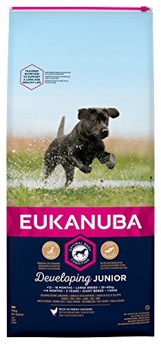 Eukanuba Dog - Developing Junior - Large Breed - 12 kg