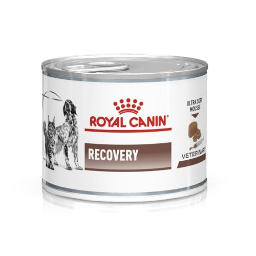  Recovery 12x 195gät für und Katzen Ultra Soft Mousse mit einem hohen Proteingehalt