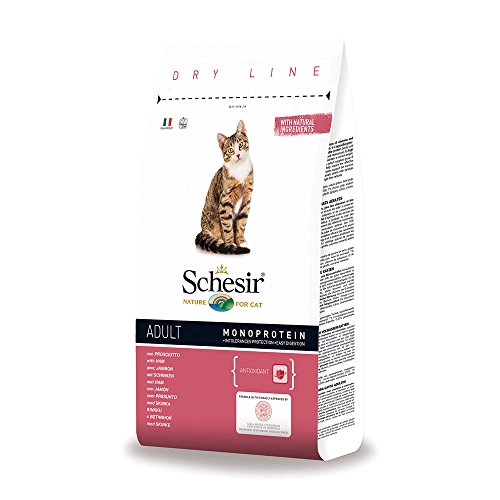 Schesir Cat Dry Line Trockenfutter mit Schinken Monoprotein Katzenfutter trocken hypoallergen Trockenfutter im Beutel 1er Pack 1 x 400 g