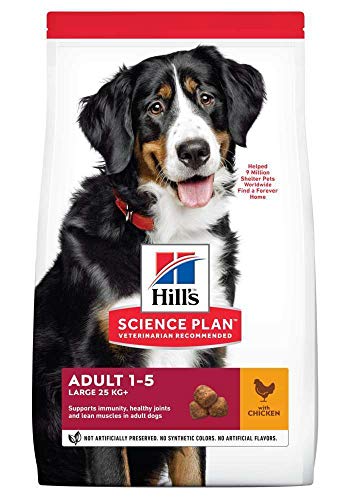  s Canine Adult Large Breed mit Huhn 12kg 1er Pack 1x 12kg Packung   Hundefutter