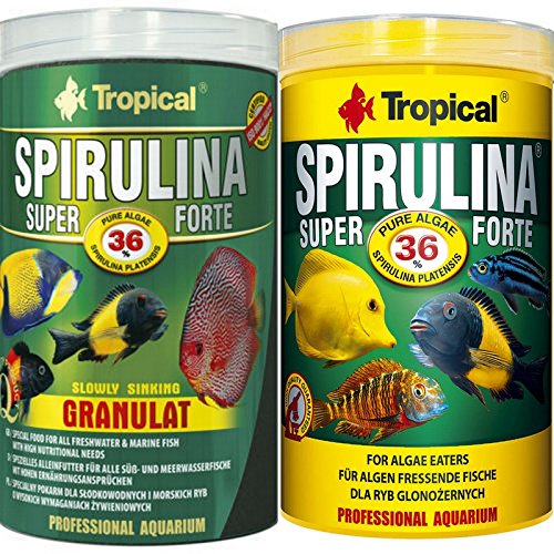 Tropical 1 Spirulina Forte 36% 1 Spirulina Gran 36% Doppelpack 2 er Set Cichlid Fischfutter