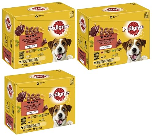 PEDIGREE Multipack - Verschiedene Geschmacksrichtungen 3x12x100g Gemischte Selektion in Gelee 4 Varietäten mit Huhn Rind- und Lebermischung Geflügel Lamm- und Lebermischung