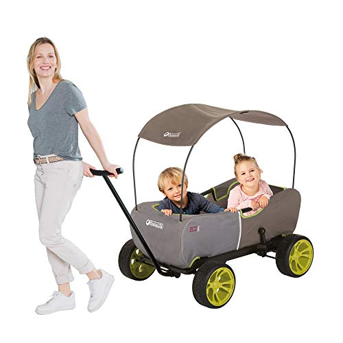 Hauck Eco Mobil - Bollerwagen Handwagen Transportwagen, für 2 Kinder Geeignet, mit Sonnendach und Sitzpolster, Faltbar, Traglast 50 kg - Forest Green